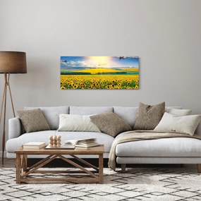 Kép - Napraforgó mező (120x50 cm)