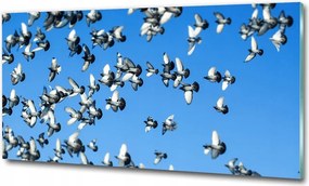 Fotó-kép edzett üveg Galambcsorda 100x70