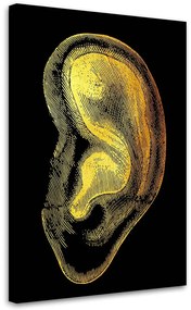 Gario Vászonkép Arany anatómia, fül - Gab Fernando Méret: 40 x 60 cm
