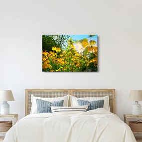 Sárga virágok képe (90x60 cm)