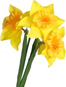 Nárcisz Művirág Ág Növény 3 Fej
