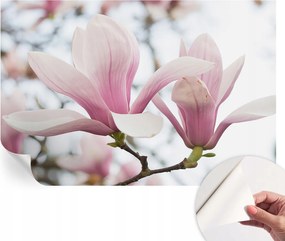 Modern öntapadós fotótapéta Mosható Magnólia virágok 104x70 cm