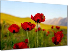 Vászonkép 120x80 Piros pipacs Virágok Hegyek