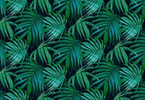 3D fotótapéta hatás Levelek virágok foltok 368 x 254