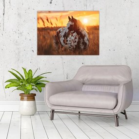 Üveg kép - Ló naplementében (70x50 cm)
