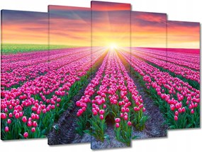 Vászonkép 70x50 Tulipánok tengere Virágok