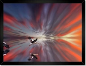 Poszterek keretben 40x30 Állatok