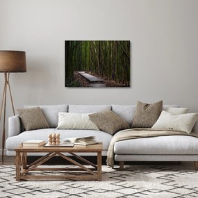 Kép - A bambuszok között (üvegen) (70x50 cm)