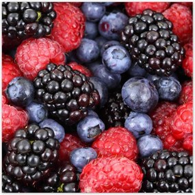 Poszterek 30x30 Zamatos gyümölcsök