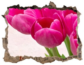 3d lyuk fal dekoráció Rózsaszín tulipánok nd-k-90952565