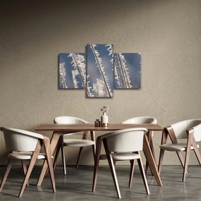 Kép - Fagy (90x60 cm)