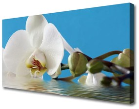 Vászonkép Természet virág növény 140x70 cm