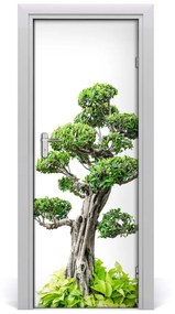 Ajtóposzter öntapadós bonsai fa 75x205 cm