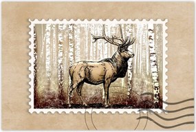 Poszter 60x40 Szarvas a nyírfaerdőben