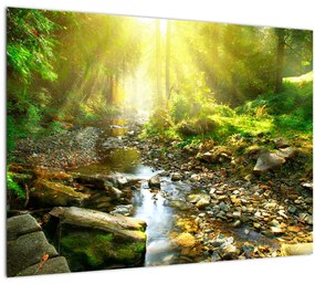 Egy folyó zöld erdőben képe (70x50 cm)