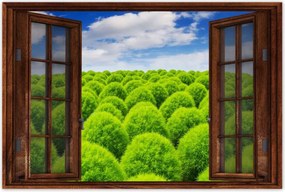 Poszterek 90x60 Zöld tekintet Völgy