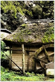 Poszterek 80x120 Vízimalom nádtetővel