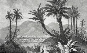 Fotótapéta Flizelin Dekoratív tapéta Trópusi oázis 416x254 Ragasztó