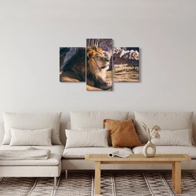 Egy fekvő oroszlán képe (90x60 cm)