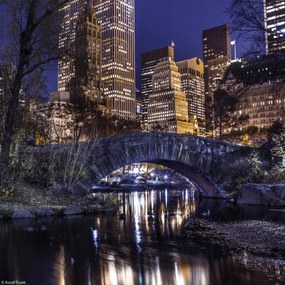 Poszter 20x20cm Esti kilátás a New York-i Central Parkra, Assaf Frank