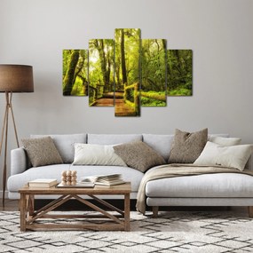 Mohás dzsungel képe (150x105 cm)