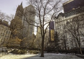 Poszter 66,5x46,5cm Központi park Alsó-Manhattan panorámával 2, Assaf Fr