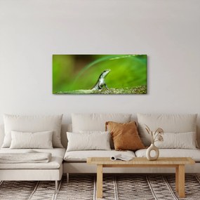Gyíkok képe (120x50 cm)