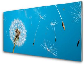 Üvegkép Pitypang Virágok Természet 120x60cm