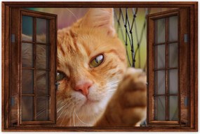 Poszterek 120x80 Cica Cicák Macskák