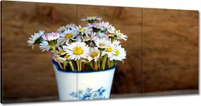 Festmények 180x90 Reggeli margaréták