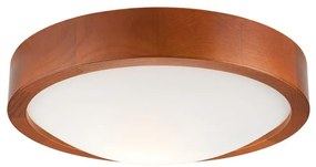 Mennyezeti lámpa 1xE27/60W/230V