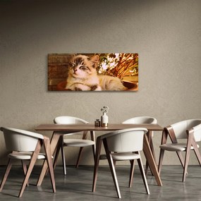 Macska a virágcserépben képe (120x50 cm)