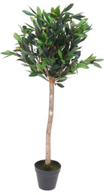 Dekoráció Olive Tree, 35x35x94 cm, polipropilén