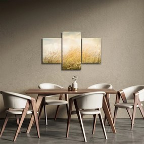 Kép - Mező ősszel (90x60 cm)