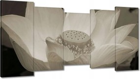 Vászonkép 150x80 Lótusz Lótuszvirág