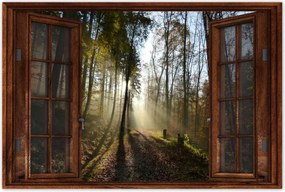 Poszterek 90x60 Napfelkelte az erdőben