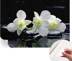 Fotótapéta Öntapadós Dekoratív tapéta Virágok kövek 152x104 cm