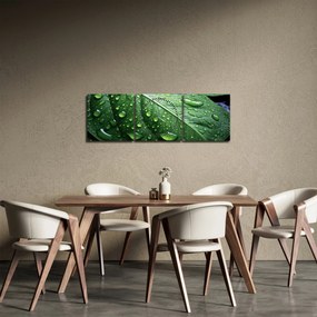 Kép - Részlet levél eső után (órával) (90x30 cm)
