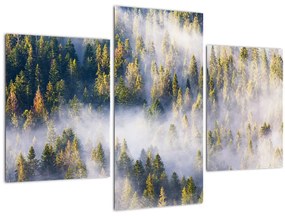 Fák képe a ködben (90x60 cm)