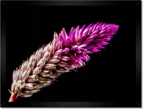 Poszterek keretben 40x30 Lila