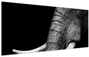 Kép - Elefánt agyar (120x50 cm)