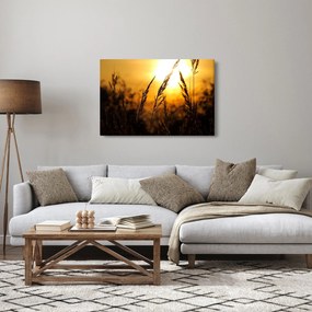 A lenyugvó nap képe (90x60 cm)