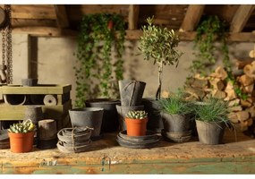 3 db szürke terrakotta virágcserép - Esschert Design