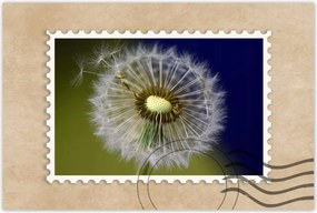 Poszterek 120x80 Pitypang Virág Virágok