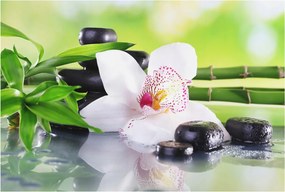 Fotótapéta Flizelin Dekoratív Hálószoba A természet nyugalma 104x70 Ragasztó