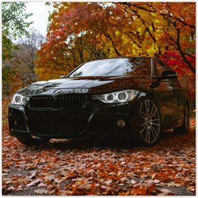 Poszter 70x70 Fekete Bmw Ősz