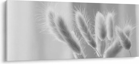 Kép - Nyuszi farok fű (120x50 cm)