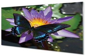 Üvegképek pillangó virág 100x50 cm