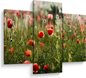 Pipacsok képe (90x60 cm)
