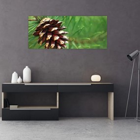 Fenyőtoboz képe (120x50 cm)